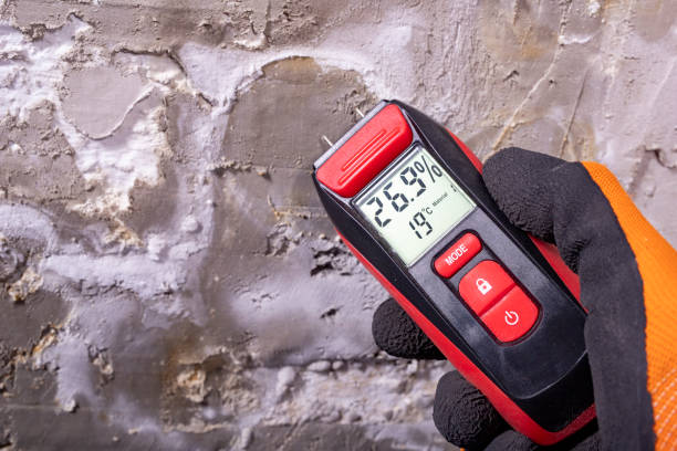 Best Mold Remediation Experts  in Ponderosa Pine, NM